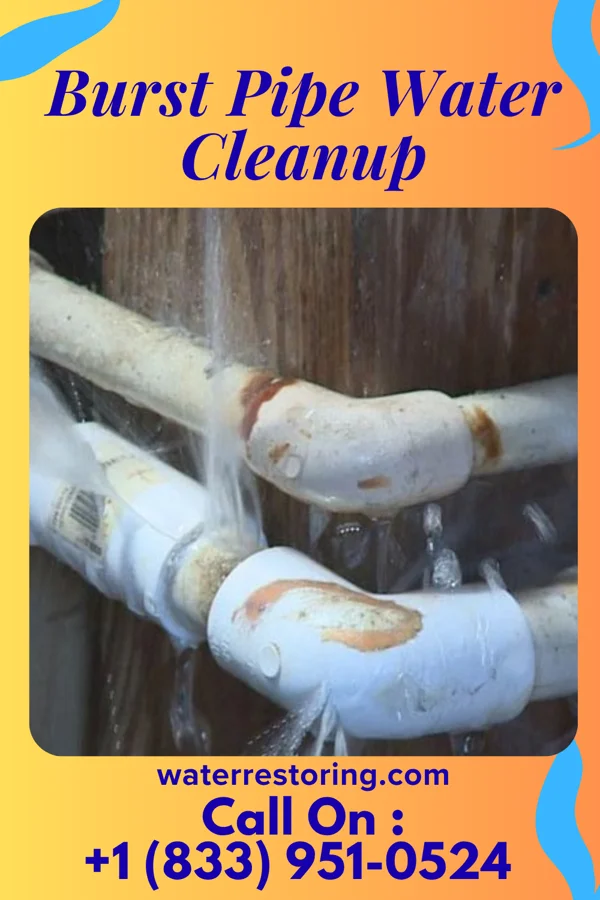 Burst Pipe Water Cleanup in New Concord, OH