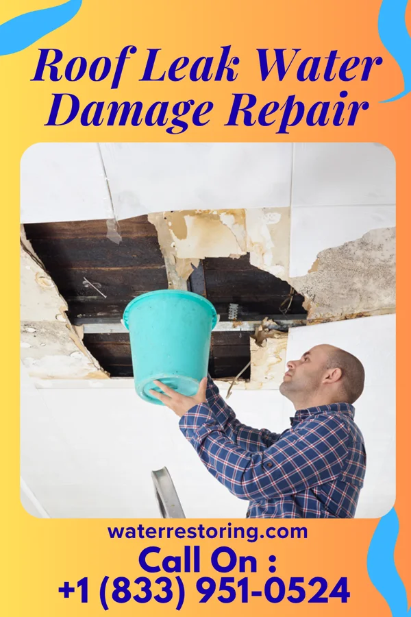 Roof Leak Water Damage Repair in New Concord, OH