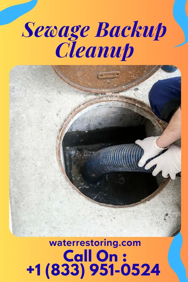 Sewage Backup Cleanup in New Concord, OH