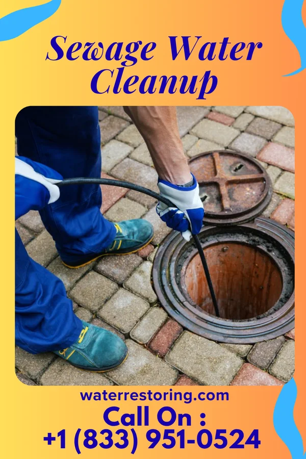 Sewage Water Cleanup in New Concord, OH