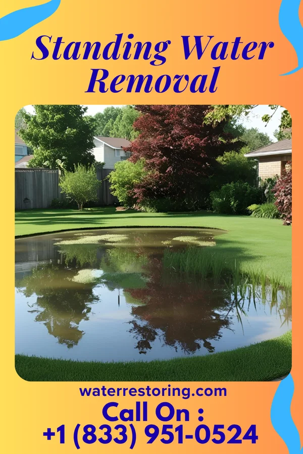 Standing Water Removal in New Concord, OH